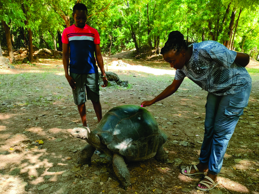 My clients enjoying the tortoise company